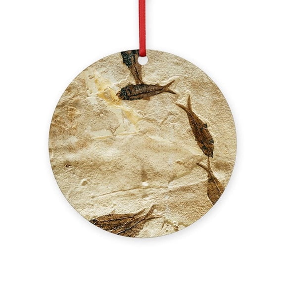 CafePress - Fish Fossils -  Round Wood Ornament 4"