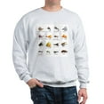 thumbnail image 1 of CafePress - Flies Sweatshirt - Crew Neck Sweatshirt, 1 of 4