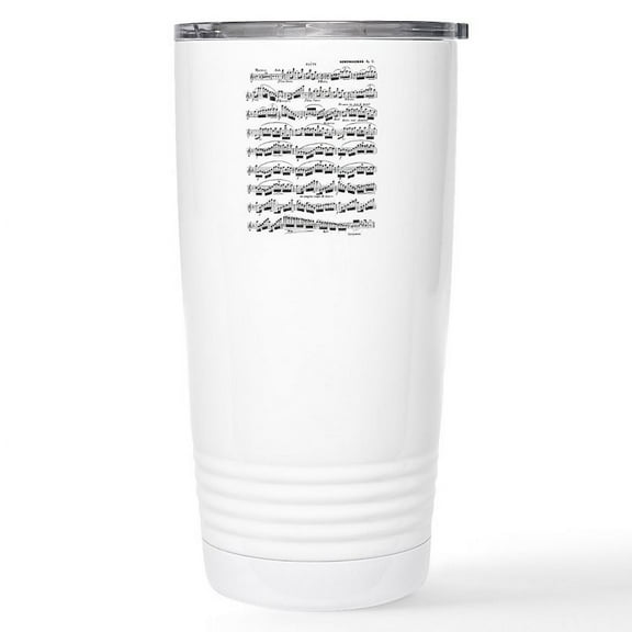 CafePress - Flute Solo Travel Mug - Insulated Stainless Steel Travel Tumbler 20 oz.