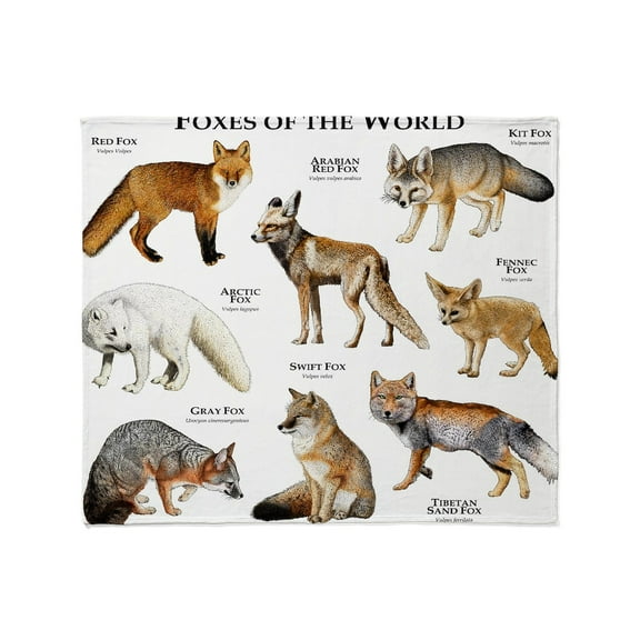 CafePress - Foxes Of The World Throw Blanket - Soft Fleece Throw Blanket, 50"x60" for All Ages