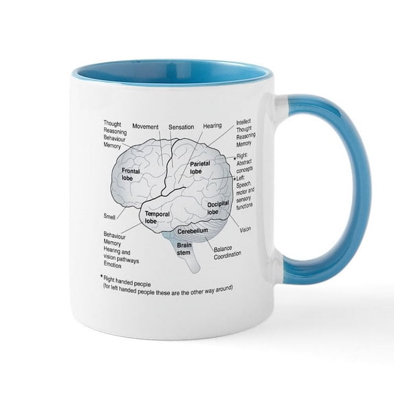 CafePress - Functional Areas Of The Brain, Artwork 11 Oz Ceram - 11 oz Ceramic Mug - Novelty Coffee Tea Cup