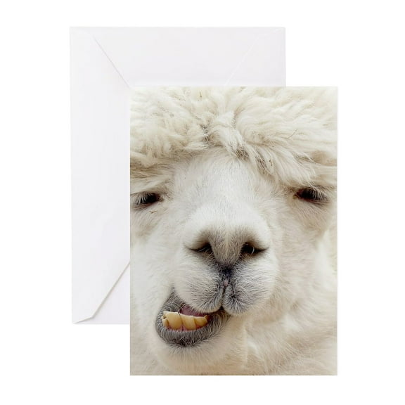 CafePress - Funny Alpaca Smile Greeting Cards - Greeting Cards (Pk of 10) Glossy