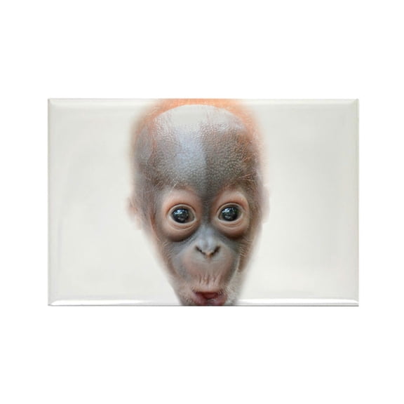 CafePress - Funny Baby Orangutan Face Magnets - Rectangle Magnet, 2"x3" Refrigerator Magnet