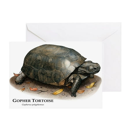 CafePress - Gopher Tortoise - Greeting Card, Blank Inside Glossy