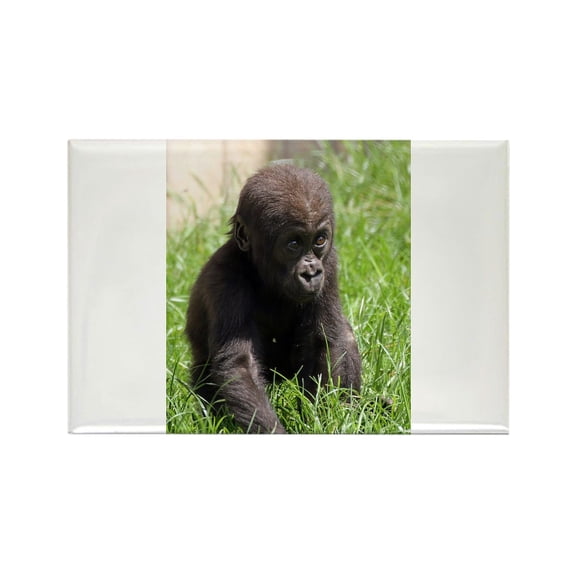 CafePress - Gorilla Baby002 Magnets - Rectangle Magnet, 2"x3" Refrigerator Magnet