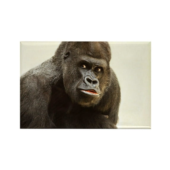 CafePress - Gorilla - Rectangle Magnet, 2"x3" Refrigerator Magnet