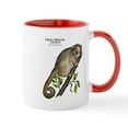 thumbnail image 1 of CafePress - Gray Mouse Lemur Mug - 11 oz Ceramic Mug - Novelty Coffee Tea Cup, 1 of 6