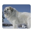 thumbnail image 1 of CafePress - Great Pyrenees Mousepad - Non-slip Rubber Mousepad, Gaming Mouse Pad, 1 of 6