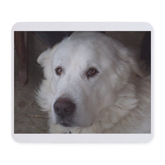 CafePress - Great Pyrenees Mousepad - Non-slip Rubber Mousepad, Gaming Mouse Pad