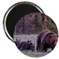 thumbnail image 1 of CafePress - Grizzly Bear 399 Magnet - 2.25" Round Magnet, Refrigerator Magnet, Button Magnet Style, 1 of 3