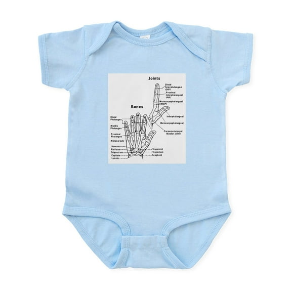 CafePress - Hand Anatomy Body Suit - Baby Light Bodysuit, Size Newborn - 24 Months