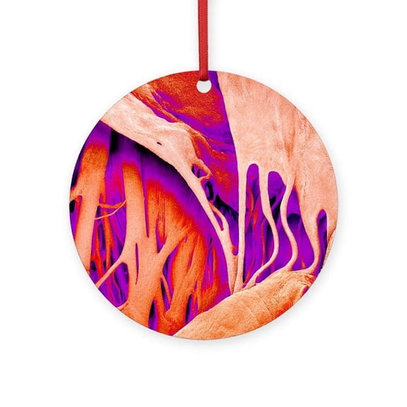 CafePress - Heart Valve And Strings, SEM - Round Wood Ornament 4"