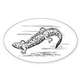 thumbnail image 1 of CafePress - Hellbender Sticker - Sticker (Oval), 1 of 1