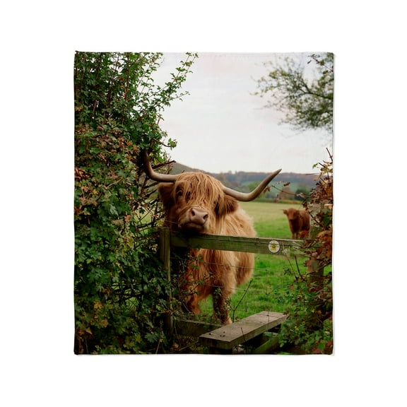 CafePress - Highland Cow Throw Blanket - Soft Fleece Throw Blanket, 50"x60" for All Ages