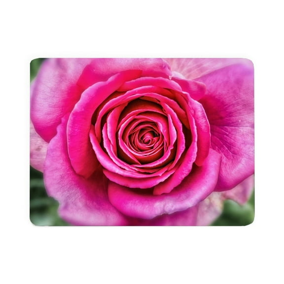 CafePress - Hot Pink Rose Closeup - Large Sherpa Fleece Throw Blanket 80" x 60"