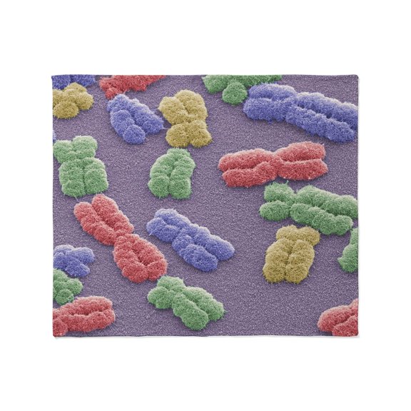 CafePress - Human Chromosomes, SEM Throw Blanket - Soft Fleece Throw Blanket, 50"x60" for All Ages