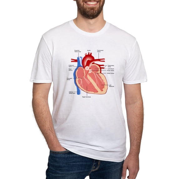 CafePress - Human Heart Anatomy Fitted T Shirt - Fitted T-Shirt, Vintage Fit Soft Cotton Tee
