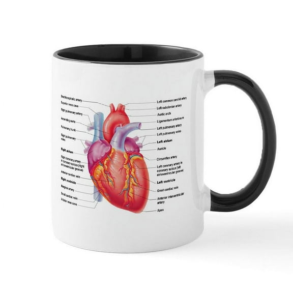 CafePress - Human Heart Mugs - 11 oz Ceramic Mug - Novelty Coffee Tea Cup