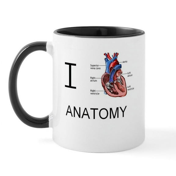 CafePress - I Heart Anatomy Mugs - 11 oz Ceramic Mug - Novelty Coffee Tea Cup