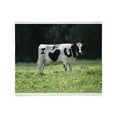 thumbnail image 1 of CafePress - I Love You Cow Throw Blanket - Soft Fleece Throw Blanket, 50"x60" for All Ages, 1 of 2