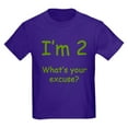 thumbnail image 1 of CafePress - I'm 2 What's Your Excuse? 2Nd Birthday Kids Dark T - Dark T-Shirt Kids XS-XL, 1 of 4
