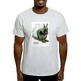 thumbnail image 1 of CafePress - Kaibab Squirrel Light T Shirt - Men's Classic Graphic T-Shirt, 1 of 4