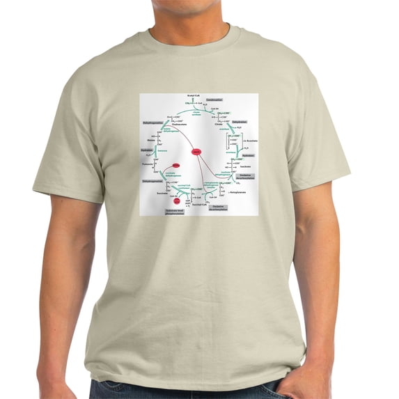 CafePress - Kreb's Cycle Ash Grey T Shirt - Men's Classic Graphic T-Shirt
