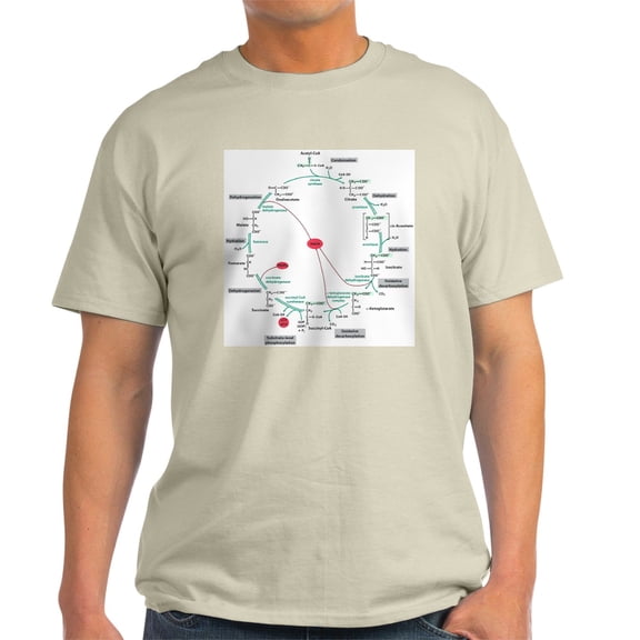 CafePress - Kreb's Cycle Ash Grey T Shirt - Men's Classic Graphic T-Shirt