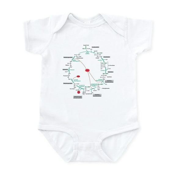 CafePress - Kreb's Cycle Infant Bodysuit - Baby Light Bodysuit, Size Newborn - 24 Months