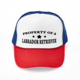 thumbnail image 1 of CafePress - Labproperty - Adjustable Unisex Printed Trucker Hat with Mesh Back, 1 of 10