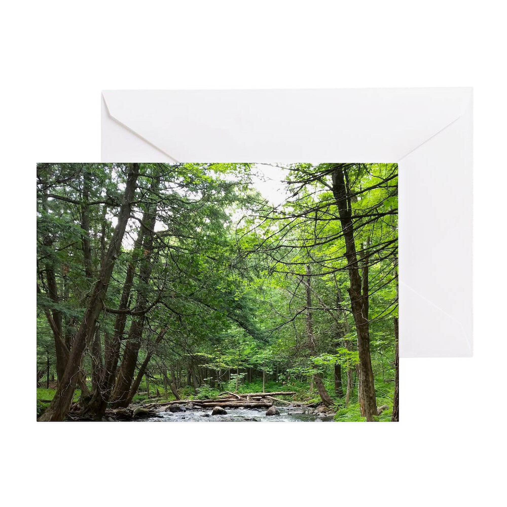 CafePress - Landscape Photo 1 - Greeting Card, Blank Inside Matte