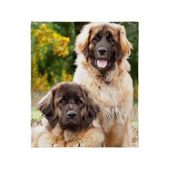 CafePress - Leonberger Throw Blanket - Soft Fleece Throw Blanket, 50"x60" for All Ages