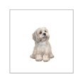 thumbnail image 1 of CafePress - Lhasa Apso (R) Square Sticker 3 X 3 - Square Sticker 3" x 3", 1 of 1