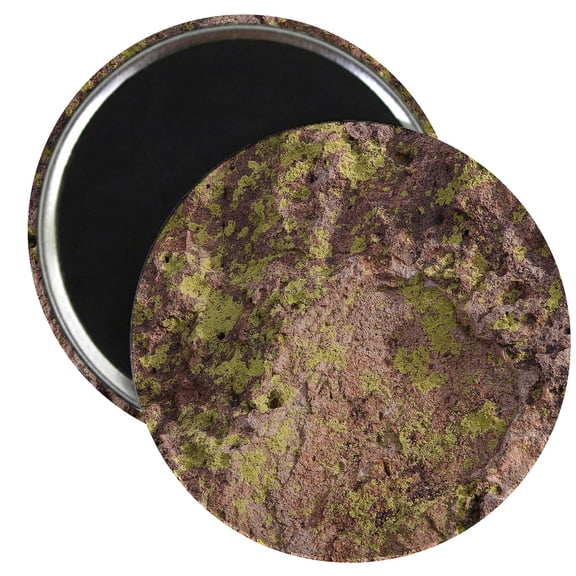 CafePress - Lichen And Rock Magnet - 2.25" Round Magnet, Refrigerator Magnet, Button Magnet Style