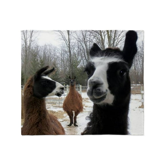 CafePress - Llamas Larger Throw Blanket - Soft Fleece Throw Blanket, 50"x60" for All Ages