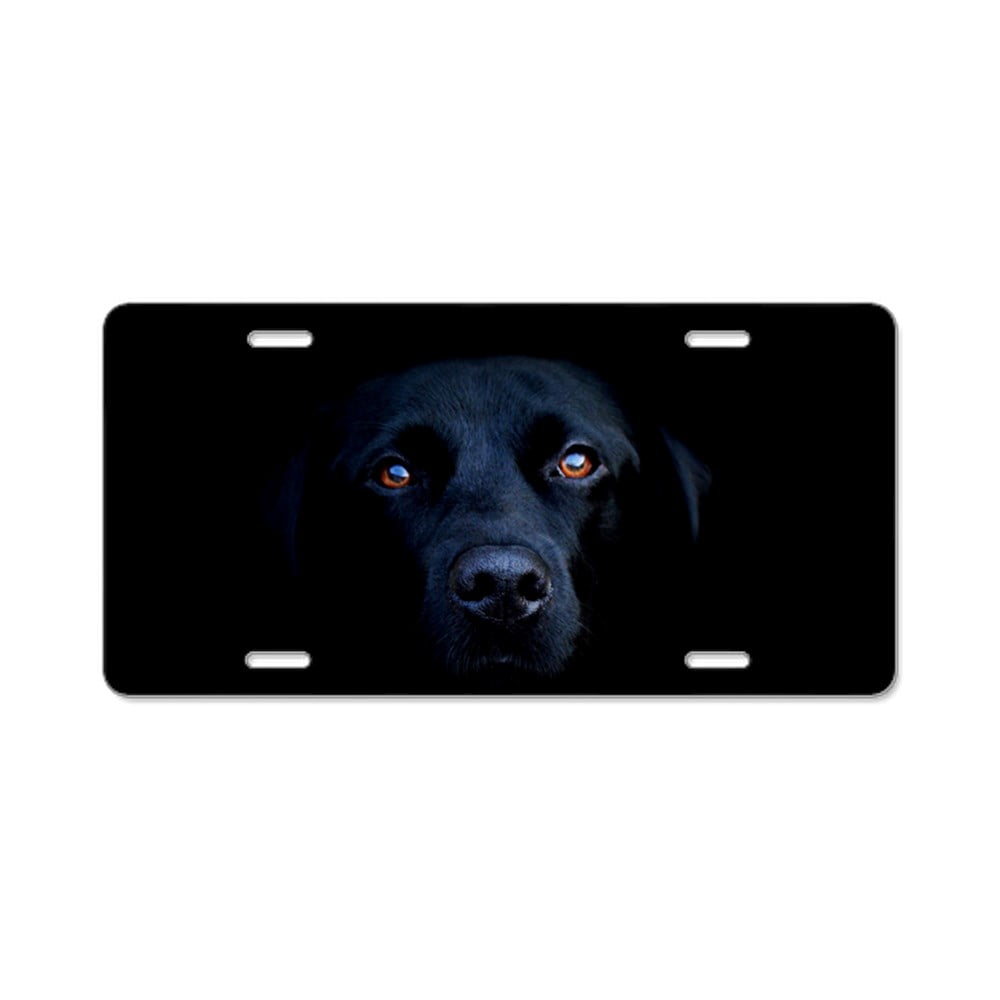 CafePress - MIDNIGHT BLACK LAB - Aluminum License Plate, Front License ...