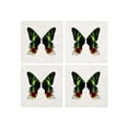 thumbnail image 1 of CafePress - Madagascan Sunset Moth - Tile Coaster, Drink Coaster Set of 4, 1 of 4