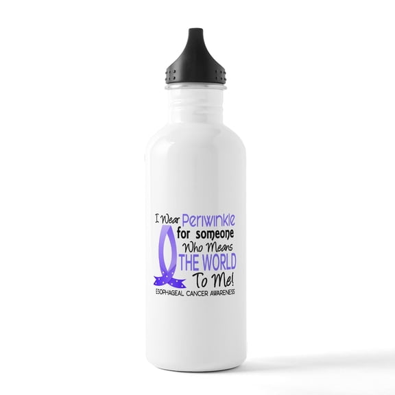 CafePress - Means World To Me 1 Esophageal Cancer Stainless Wa - Stainless Steel Water Bottle, Sports Bottle, 1.0L