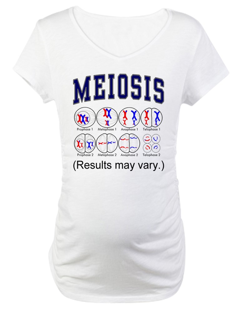 https://i5.walmartimages.com/seo/CafePress-Meiosis-Maternity-T-Shirt-Cotton-Maternity-T-shirt-Cute-Funny-Pregnancy-Tee_2a69e3b7-22da-47a4-ab2e-40c2a7c5781d_1.6be8fb5d07b434c88960db4f3346866b.jpeg