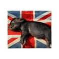 thumbnail image 1 of CafePress - Micro Pig Chilling Throw Blanket - Soft Fleece Throw Blanket, 50"x60" for All Ages, 1 of 2