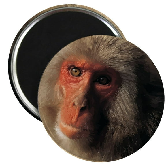 CafePress - Monkey Magnet - 2.25" Round Magnet, Refrigerator Magnet, Button Magnet Style