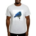thumbnail image 1 of CafePress - Mountain Blue Bird Men's Value T Shirt - Men's Classic Graphic T-Shirt, 1 of 4