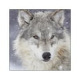 thumbnail image 1 of CafePress - Ms Wolf Square Sticker 3 X 3 - Square Sticker 3" x 3", 1 of 1