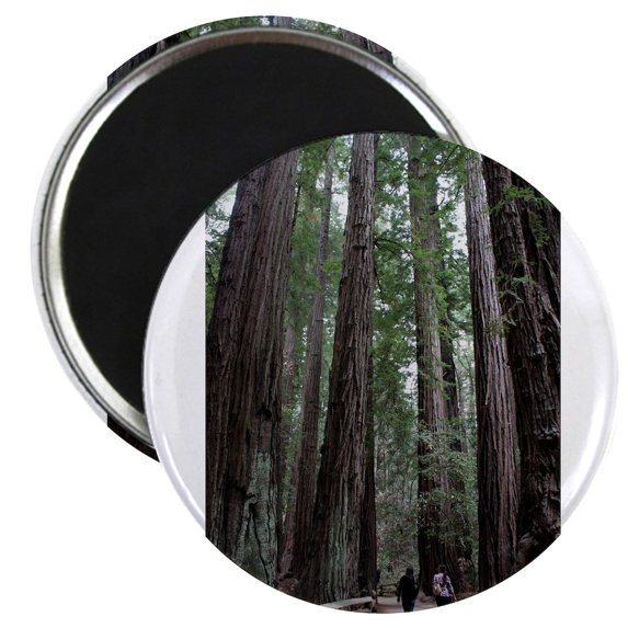 CafePress - Muir Woods, California Magnet - 2.25" Round Magnet, Refrigerator Magnet, Button Magnet Style