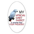 thumbnail image 1 of CafePress - My Grey Smarter Oval Sticker - Sticker (Oval), 1 of 1