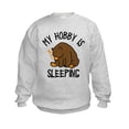 thumbnail image 1 of CafePress - My Hobby Is Sleeping Chill Grizzly Bear Sweatshirt - Kids Sweatshirt, Youth Crew Neck Sweatshirt, 1 of 4