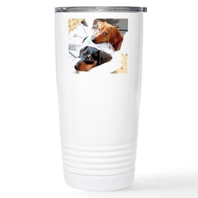 CafePress - Naptime Love Dachshunds Stainless Steel Travel Mug - Insulated Stainless Steel Travel Tumbler 20 oz.