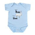 thumbnail image 1 of CafePress - New Section Infant Bodysuit - Baby Light Bodysuit, Size Newborn - 24 Months, 1 of 4