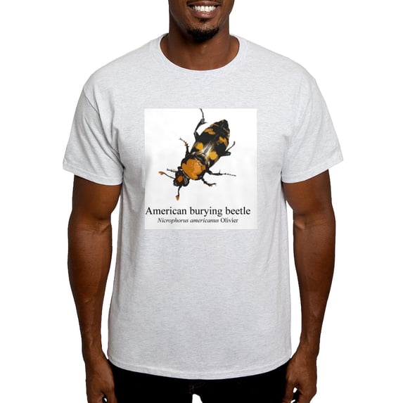 CafePress - Nicrophorus Americanus Light T Shirt - Men's Classic Graphic T-Shirt