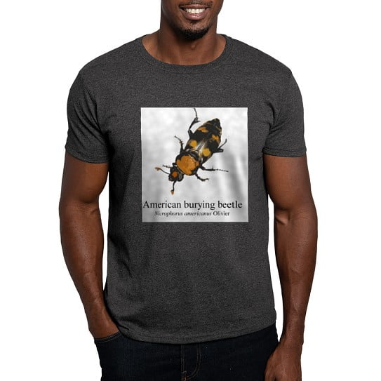CafePress - Nicrophorus Americanus Light T Shirt - Men's Classic Cotton T-Shirts